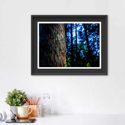 The Howling Tree - Fine Art Photography Print