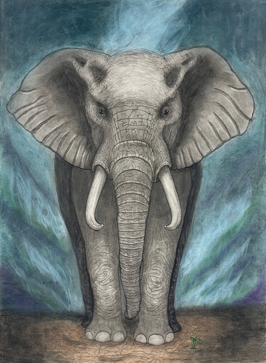 Rooted - Fine Art Elephant Print